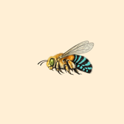 Bee The Change Women's Hoodie  Design